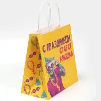 Пакет подарочный &laquo;Старая клюшка&raquo;, 22&times;22&times;11 см