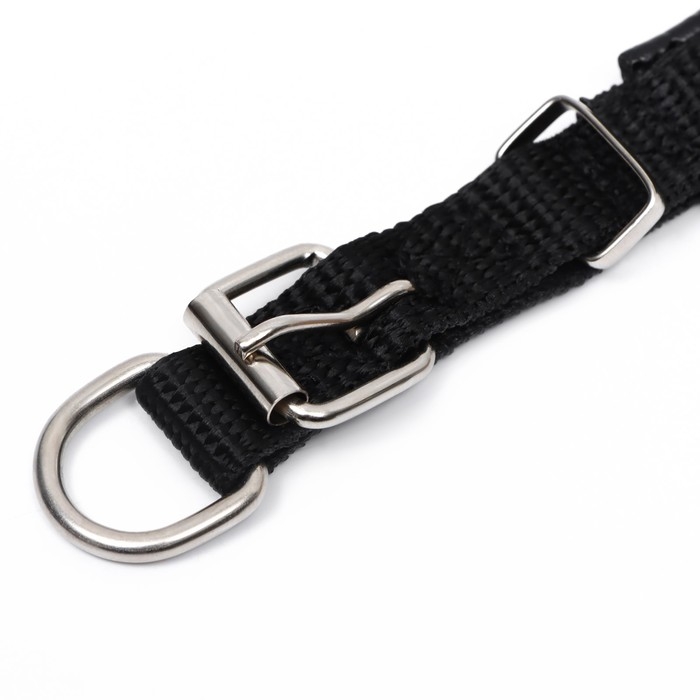 Ошейник Ошейник "Комфорт" комбинированный, 39 х 1,5 см, ОШ 26-33 см, чёрный