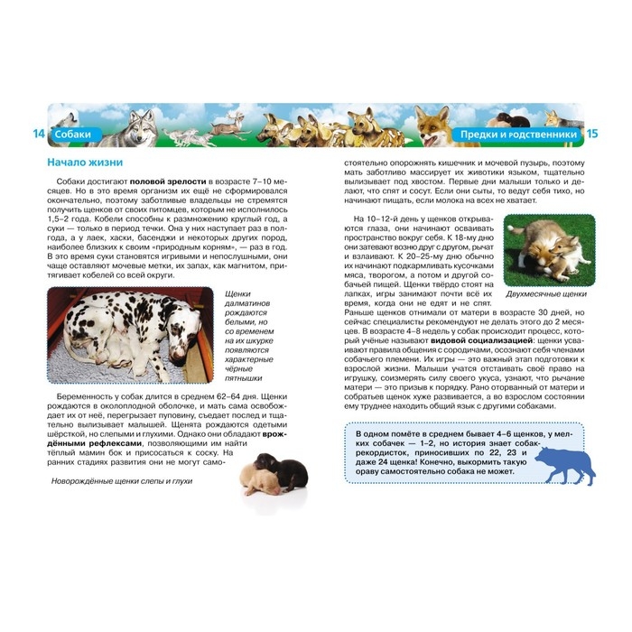 Детская энциклопедия «Собаки» Детская энциклопедия «Собаки»