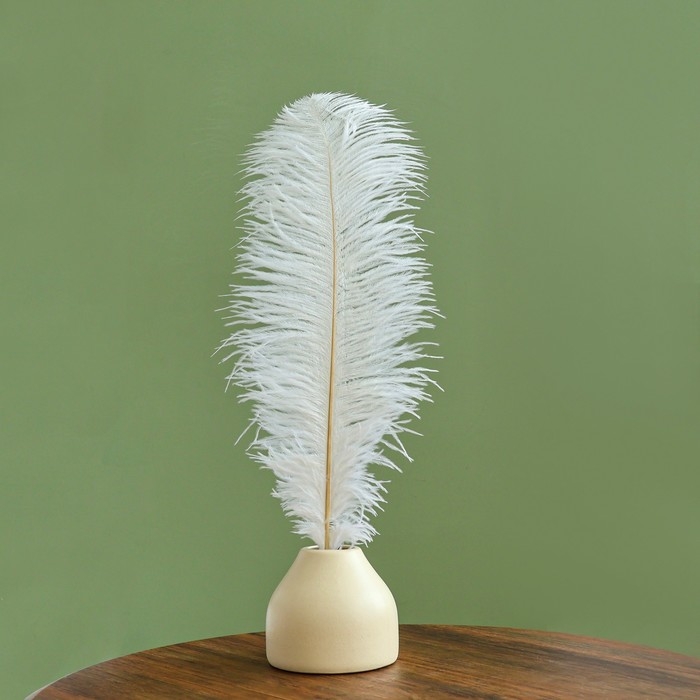Перо для декора 1 шт., длина от 45 до 60 см, цвет белый Перо для декора 1 шт., длина от 45 до 60 см, цвет белый