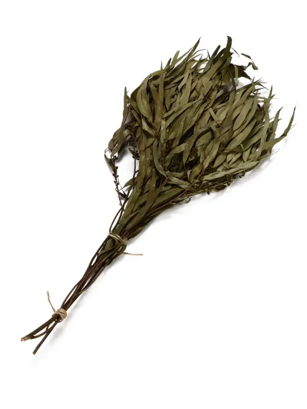 Веник для бани, эвкалиптовый, в упаковке