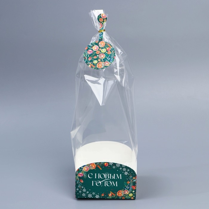 Пакет с коробкой «Новогодняя ботаника», 12 х 12 х 40 см, Новый год Пакет с коробкой «Новогодняя ботаника», 12 х 12 х 40 см, Новый год