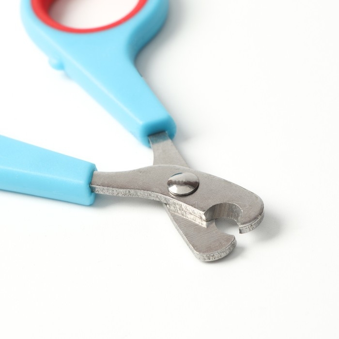 Набор по уходу за когтями: ножницы-когтерезы (отверстие 6 мм) и пилка, сине-красный Набор по уходу за когтями: ножницы-когтерезы (отверстие 6 мм) и пилка, сине-красный