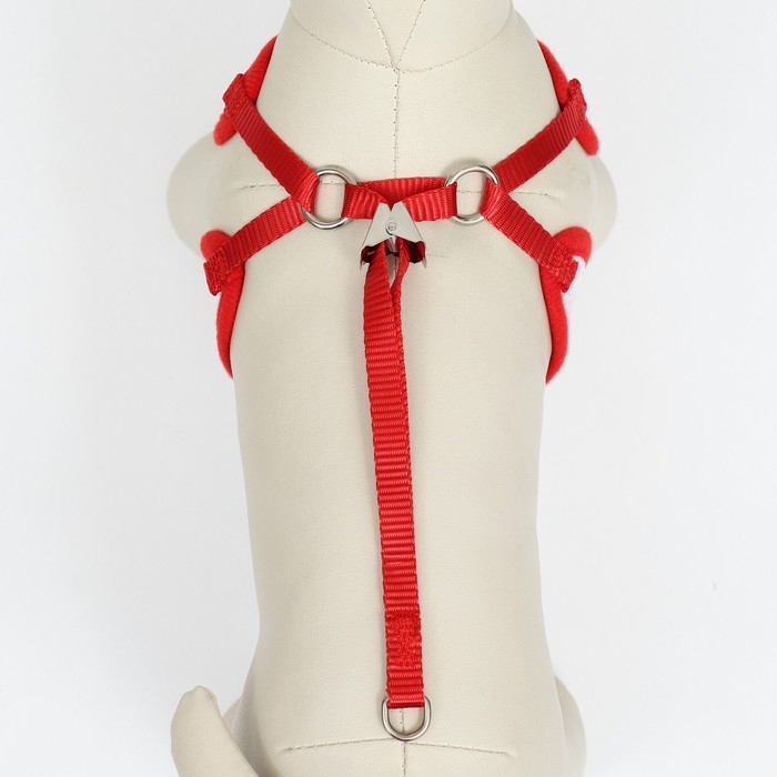 Комплект с мягкой шлейкой и бантиком, размер L, поводок 120 x 1,5 см, ОГ 35-50 см, красный Комплект с мягкой шлейкой и бантиком, размер L, поводок 120 x 1,5 см, ОГ 35-50 см, красный