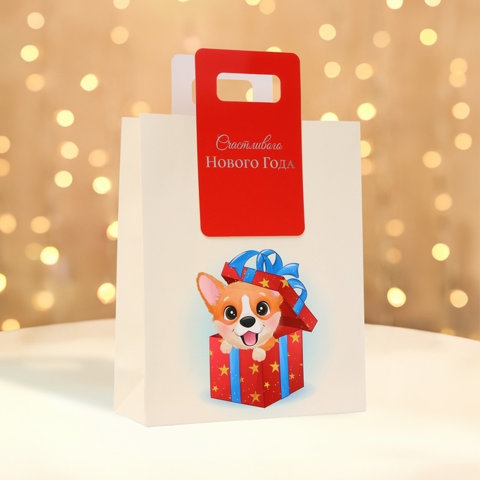 Новый год. Пакет подарочный с вырубной ручкой Новый год. Пакет подарочный с вырубной ручкой "Лучший подарок" 18 х 23 х 9 см.
