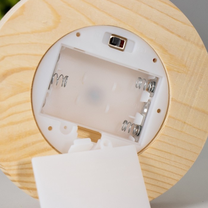 Ночник колба Ночник колба "Цветы" LED от батареек 3хААА 11х11х20 см RISALUX