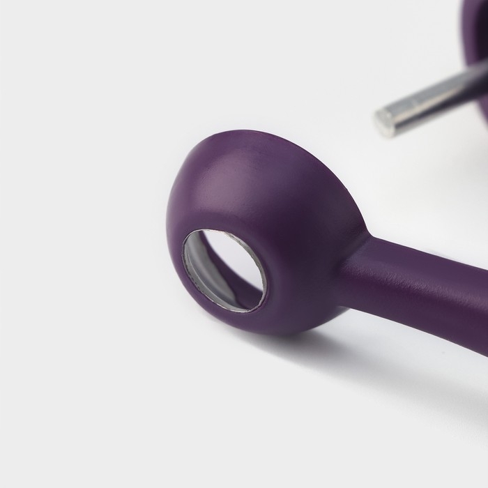 Удалитель косточек Доляна «Ловкач», цвет фиолетовый Удалитель косточек Доляна «Ловкач», цвет фиолетовый