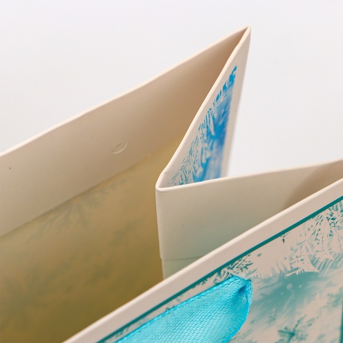 Новый год. Пакет подарочный новогодний под бутылку «Мороз», 13 x 36 x 10 см. Новый год. Пакет подарочный новогодний под бутылку «Мороз», 13 x 36 x 10 см.