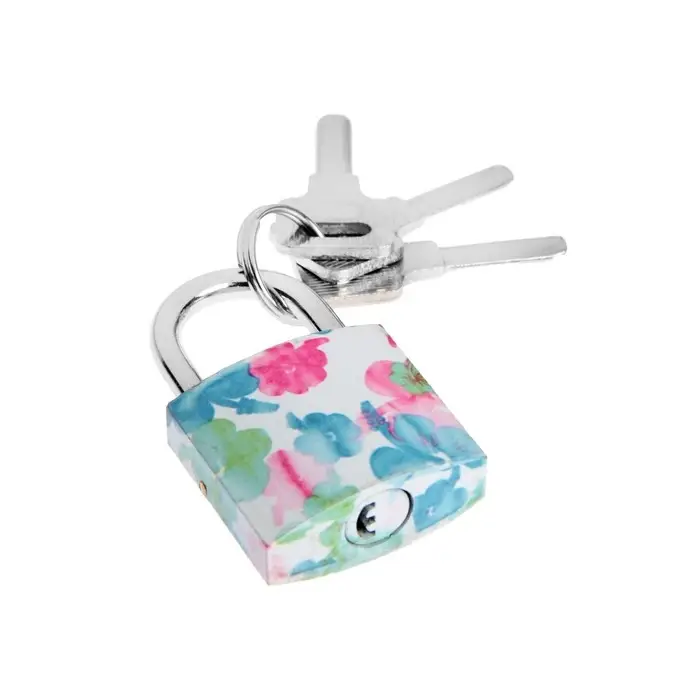 Замок навесной, 32&times;69 мм, МИКС