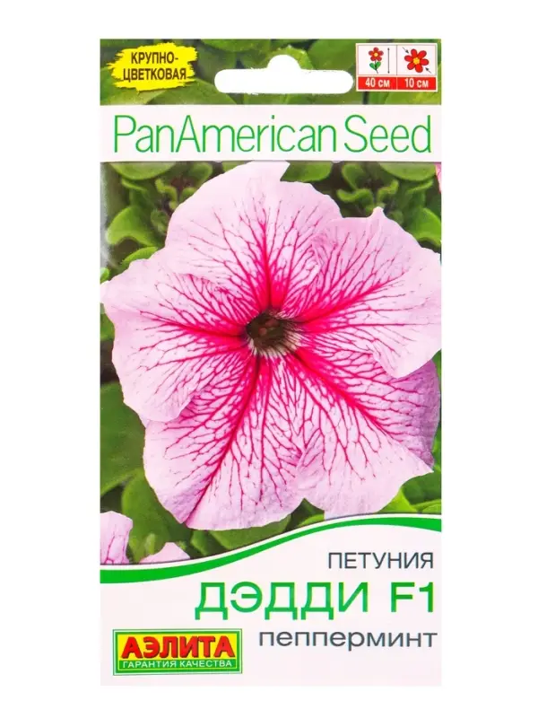Семена цветов Петуния Дэдди F1 пепперминт (драже в пробирке) Спецсерия PanAmerican, Ц/П,7 шт. 10945 Семена цветов Петуния Дэдди F1 пепперминт (драже в пробирке) Спецсерия PanAmerican, Ц/П,7 шт. 10945