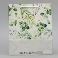 Пакет подарочный ламинированный, упаковка, Present for you, ML 21&times;25&times;8 см