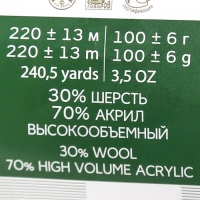 Пряжа для вязания спицами, крючком «Пехорский текстиль. Народная», 30% шерсть, 70% акрил объёмный, 220 м/100 г, (42 слива)