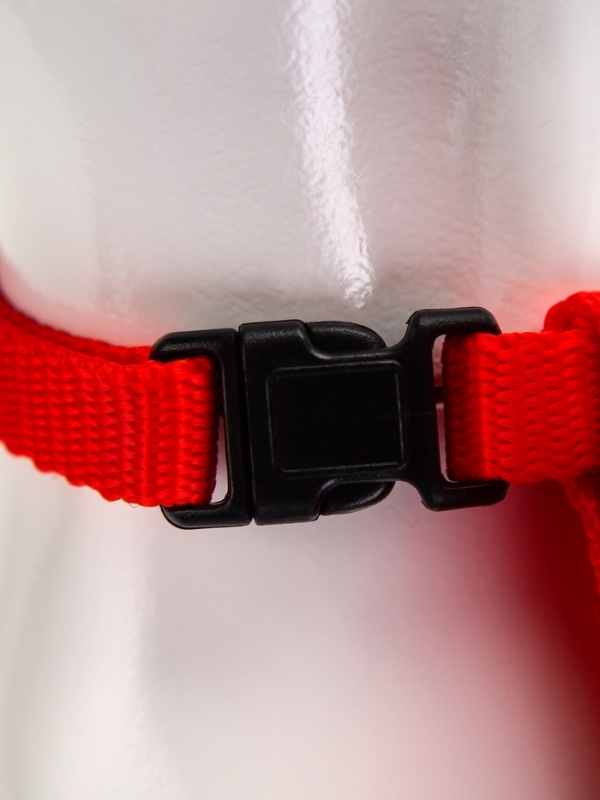 Комплект амуниции "Ангел", размер XS, шлейка 19-26 см, поводок 120 х 1 см, красный