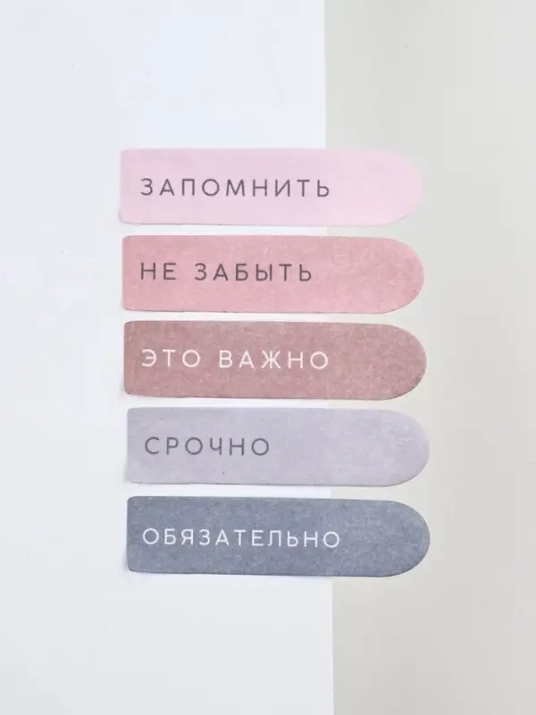 Набор стикеров-закладок &laquo;Сегодня твой день&raquo;, 5 шт., 20 л