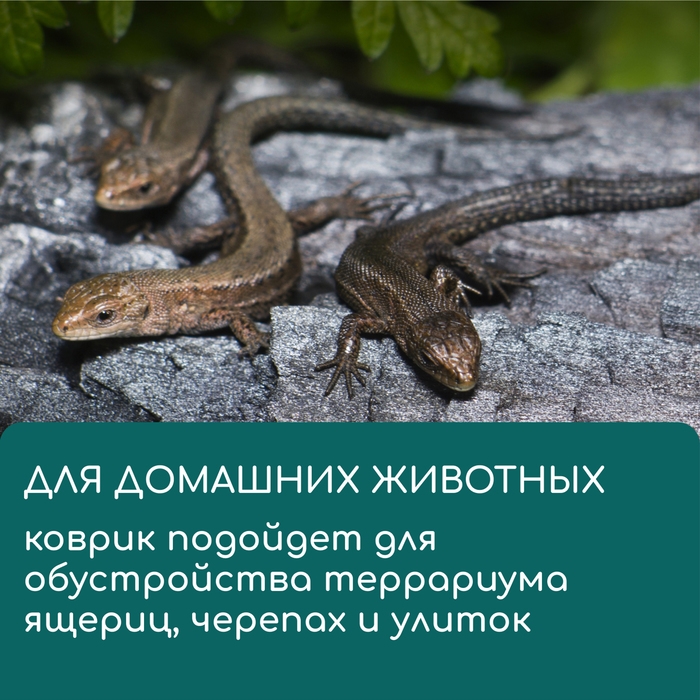 Коврик джутовый для выращивания микрозелени, 10 × 15 см, толщина 1 см, набор 5 шт. Коврик джутовый для выращивания микрозелени, 10 × 15 см, толщина 1 см, набор 5 шт.