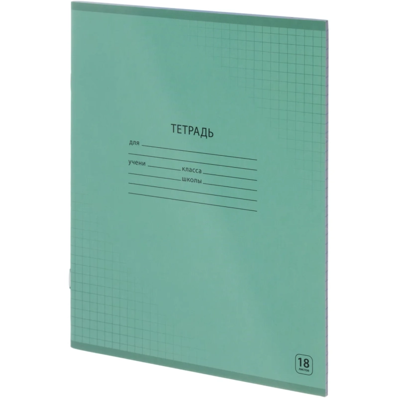 Тетрадь школьная А5, 18л клетка, Выбор есть зеленый 20шт/уп