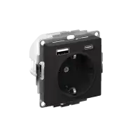 РОЗЕТКА 16А c 2 USB A+С, мех, КАРБОН