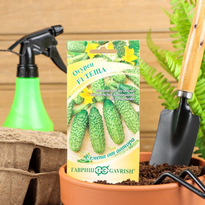 Семена Огурец  Семена Огурец "Теща" F1, корнишон, скороспелый, партенокарпический, 10 шт.