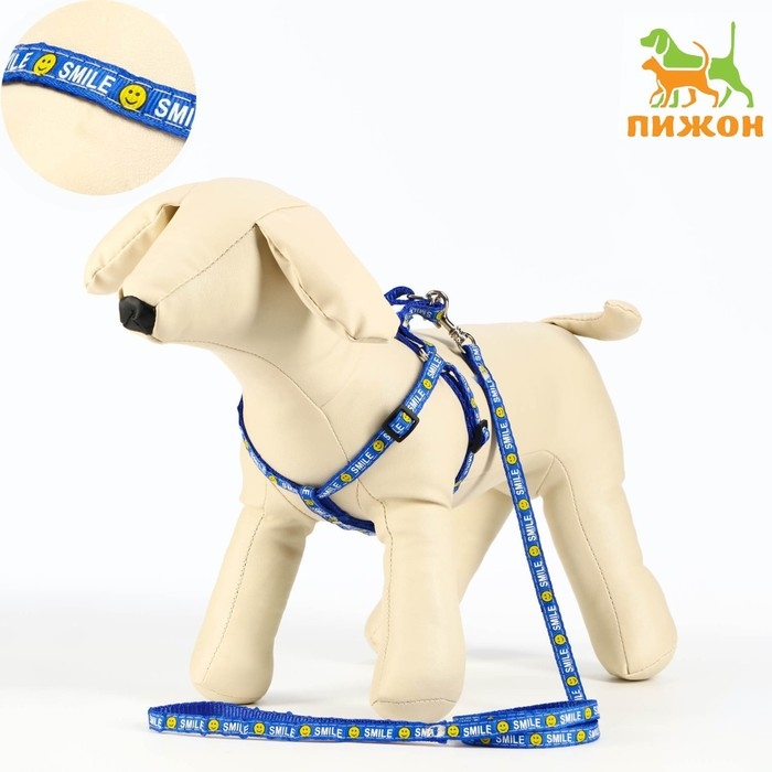 Комплект амуници Комплект амуници "Смайлик", ширина 1 см, поводок 120 см, шлейка 26-38 см, синий