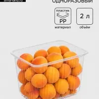 Контейнер одноразовый &laquo;Южуралпак&raquo;, КР-179, пластик, 2 л, 17.9&times;13.2&times;13 см, прозрачный