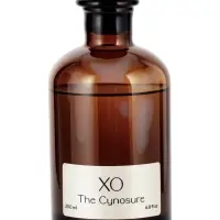 Диффузор ароматический с палочками XO The Cynosure, 200 мл