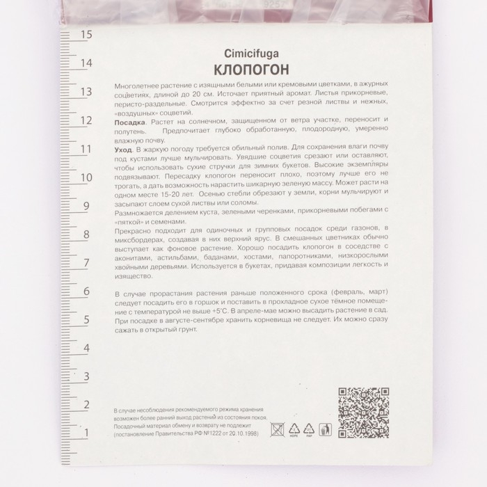 Клопогон простой Вайт Пёрл, р-р I, 1 шт, Весна 2025