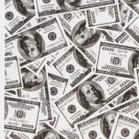 Бумага упаковочная глянцевая &laquo;Богатство&raquo;, 50 &times; 70 см