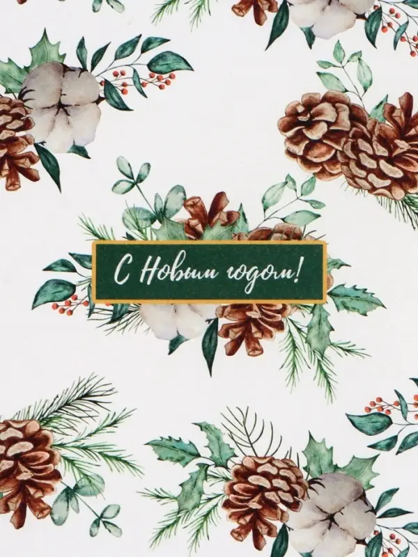 Бумага упаковочная крафт &laquo;Шишки&raquo;, 1 лист, 70&times;100 см