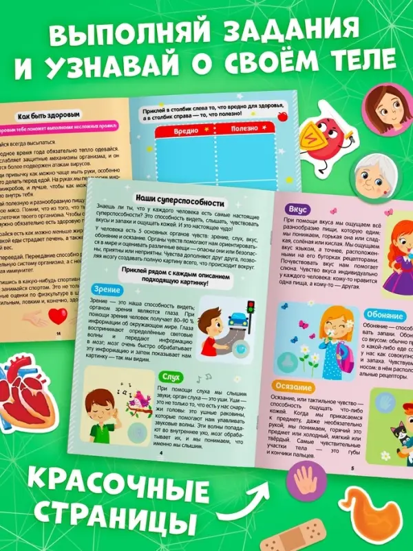 Наклейки &laquo;Секреты тела человека&raquo;, 16 стр.