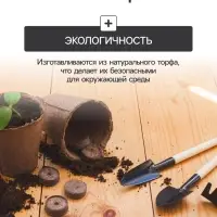 Набор для рассады: торфяная таблетка d=4.1 см, 12 шт., кассета на 12 ячеек по 40 мл, поддон 20.5&times;17 см, зелёный, пластик, Экоторф