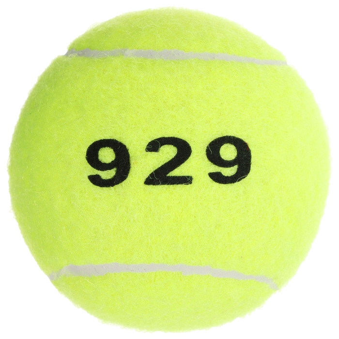 Набор мячей для большого тенниса ONLYTOP № 929, тренировочный, 3 шт. Набор мячей для большого тенниса ONLYTOP № 929, тренировочный, 3 шт.