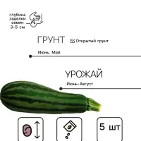 Семена Кабачок &laquo;Бетси&raquo;, F1, 5 шт., &laquo;АгроСидсТрейд&raquo;