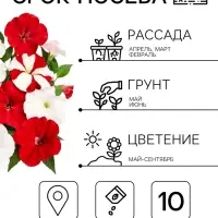 Семена цветов Петуния &laquo;Ягодный чизкейк&raquo;, F1, смесь сортов, драже, С. Cerny, 10 шт.