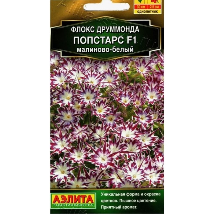 Семена Цветов Флокс друммонда  Семена Цветов Флокс друммонда "Попстарс", F1, малиново-белый, 5 шт