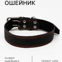 Ошейник кожаный на синтепоне, 82&times;4.5 см, ОШ 50-70 см, чёрный