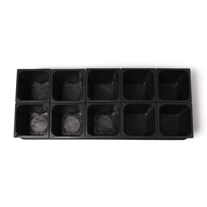 Набор для рассады: стаканы по 1 л (10 шт.), поддон 61 × 23 см, чёрный Набор для рассады: стаканы по 1 л (10 шт.), поддон 61 × 23 см, чёрный