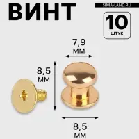 Кобурный винт d=7.9/8.5&times;8.5 мм, 10 шт., цвет золотой