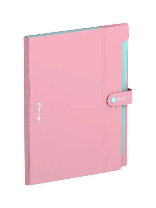 Папка А4 Haze, 12 отделений, 600 мкм, на кнопке, розовая