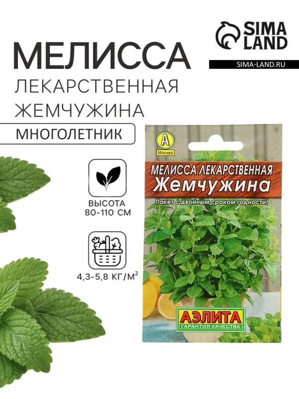 Семена Мелисса лекарственная &laquo;Жемчужина&raquo;, 0.1 г, &laquo;Аэлита&raquo;