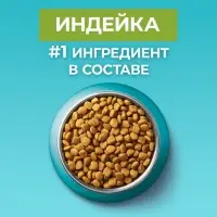 Сухой корм ONE для домашних кошек, индейка с цельными злаками 200 г