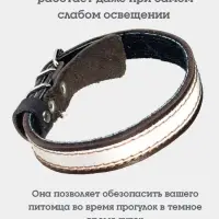 Ошейник, 35&times;1.5 см, с подкладом и светоотражающей лентой, кожа, коричневый