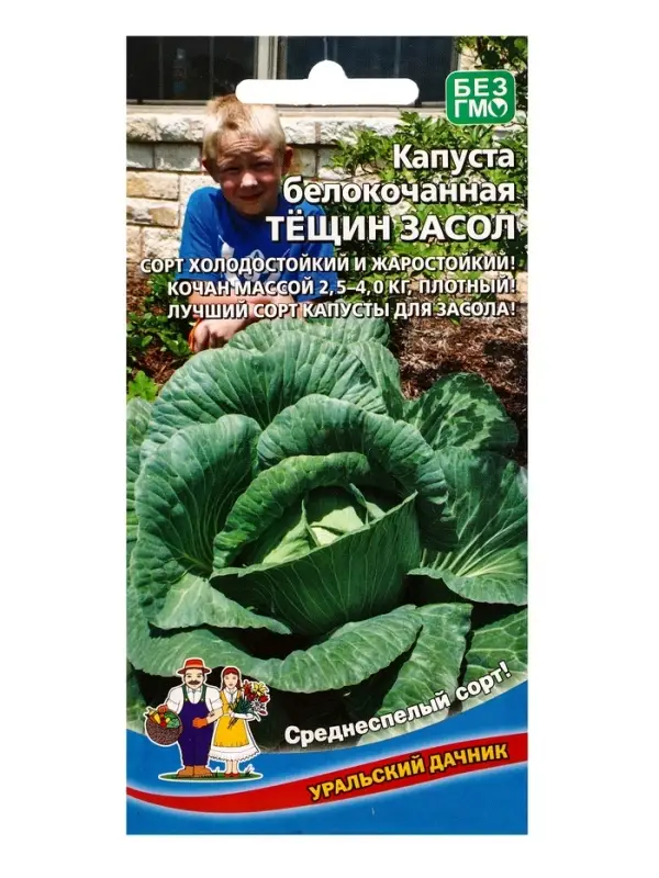 Семена Капуста белокочанная Тещин засол (УД) Е/П , Е/П,  0,3 г.