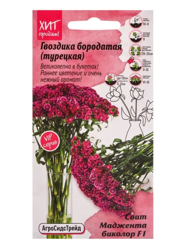 Семена цветов Гвоздика бородатая Свит Маджента биколор 6 шт