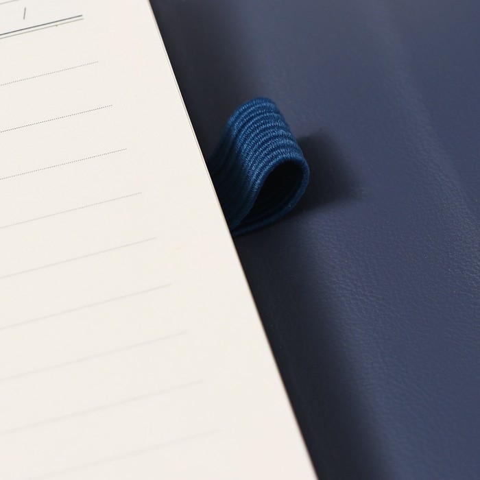 Органайзер на кольцах А6+, 80 листов, кожзам, c клапаном, линия, с ручкой, в подарочной коробке, синий Органайзер на кольцах А6+, 80 листов, кожзам, c клапаном, линия, с ручкой, в подарочной коробке, синий