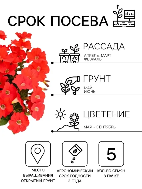 Семена цветов Петуния &laquo;Минифлора горшечная&raquo; F1, красная, 5 шт., &laquo;АЭЛИТА&raquo;
