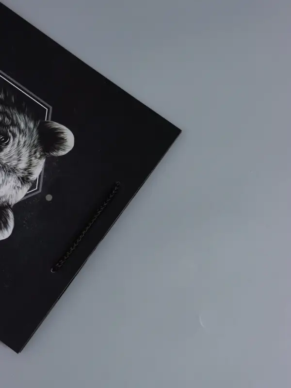 Пакет подарочный "Мужской выбор" ламинированный 26 х 12 х 32 см