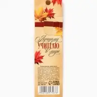 Ручка шариковая, синяя паста, 0.7 мм, пластик, автоматическая &laquo;Лучшему учителю в мире&raquo;