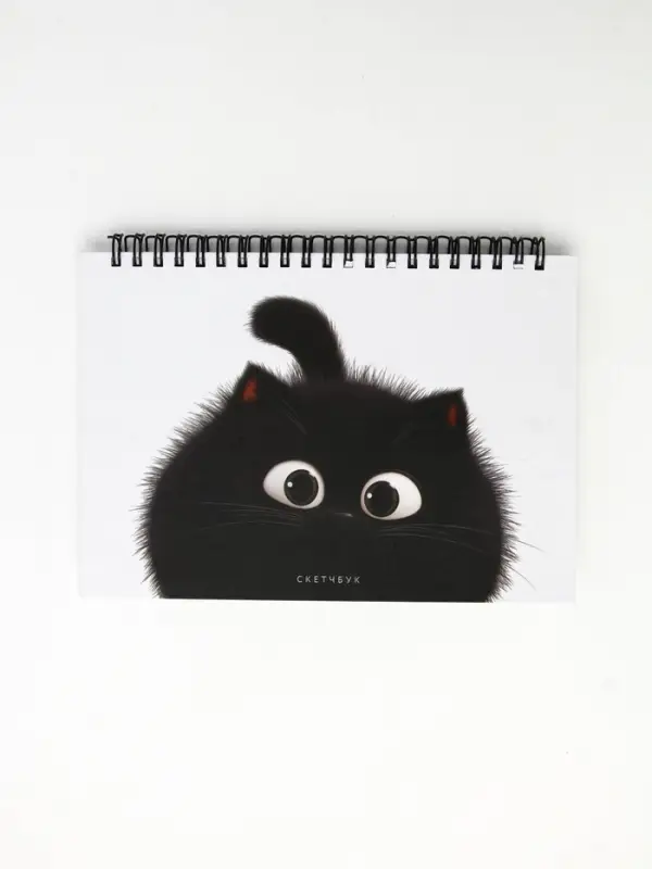 Скетчбук в твердой обложке на гребне А5 80 л 100 г/м "Котик"
