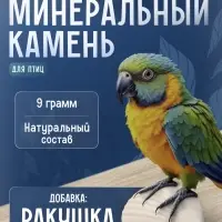 Минеральный камень &laquo;Пижон&raquo; для птиц, ракушка, 9 г
