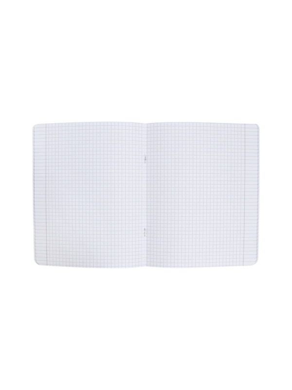 Тетрадь 96л кл MORANDI COLORS, МИКС